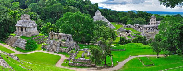 Panorama of Palenque's Maya temples and palace in the Chiapas jungle