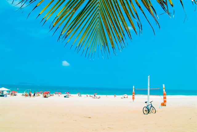 Palm frond framing Ipanema's wide sand beach and blue sea with a bicycle and volleyball posts