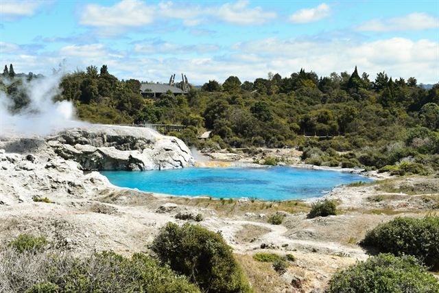 Steaming geothermal terraces and a vivid blue hot pool among native bush in Rotorua