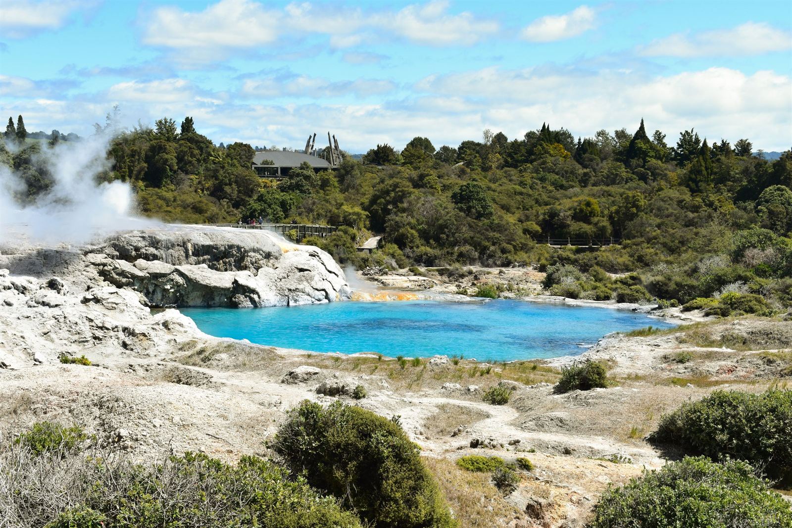 Steaming geothermal terraces and a vivid blue hot pool among native bush in Rotorua