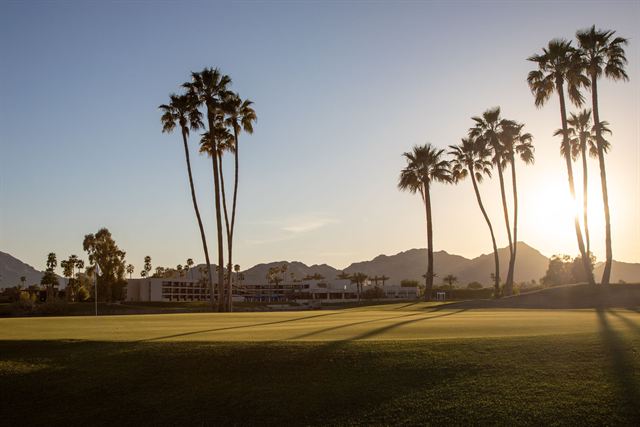 Scottsdale golf course fairway with tall palm trees silhouetted against desert mountains at sunset
