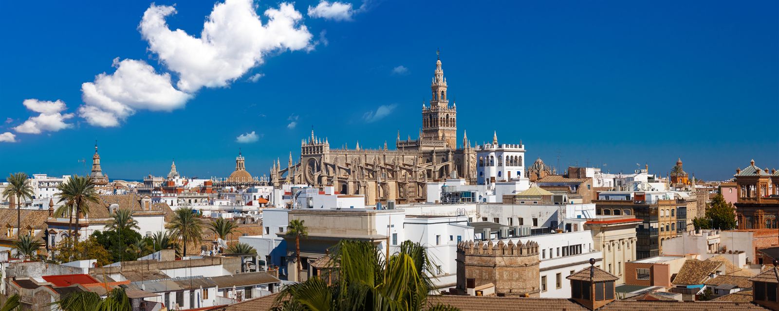 Panoramic view over Seville rooftops to the cathedral and its Giralda bell tower, Spain