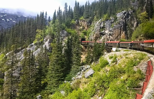 White Pass & Yukon Route train on a cliffside track through forest above Skagway