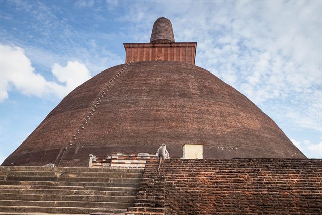 Brick Jetavanaramaya dagoba stupa against blue sky in Anuradhapura, Sri Lanka