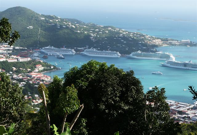 Cruise ships docked in St. Thomas harbour below green hills, seen past trees from a hillside viewpoint
