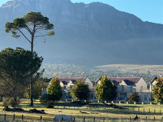 Stellenbosch Mountain above tall pines and a residential estate in the Cape Winelands