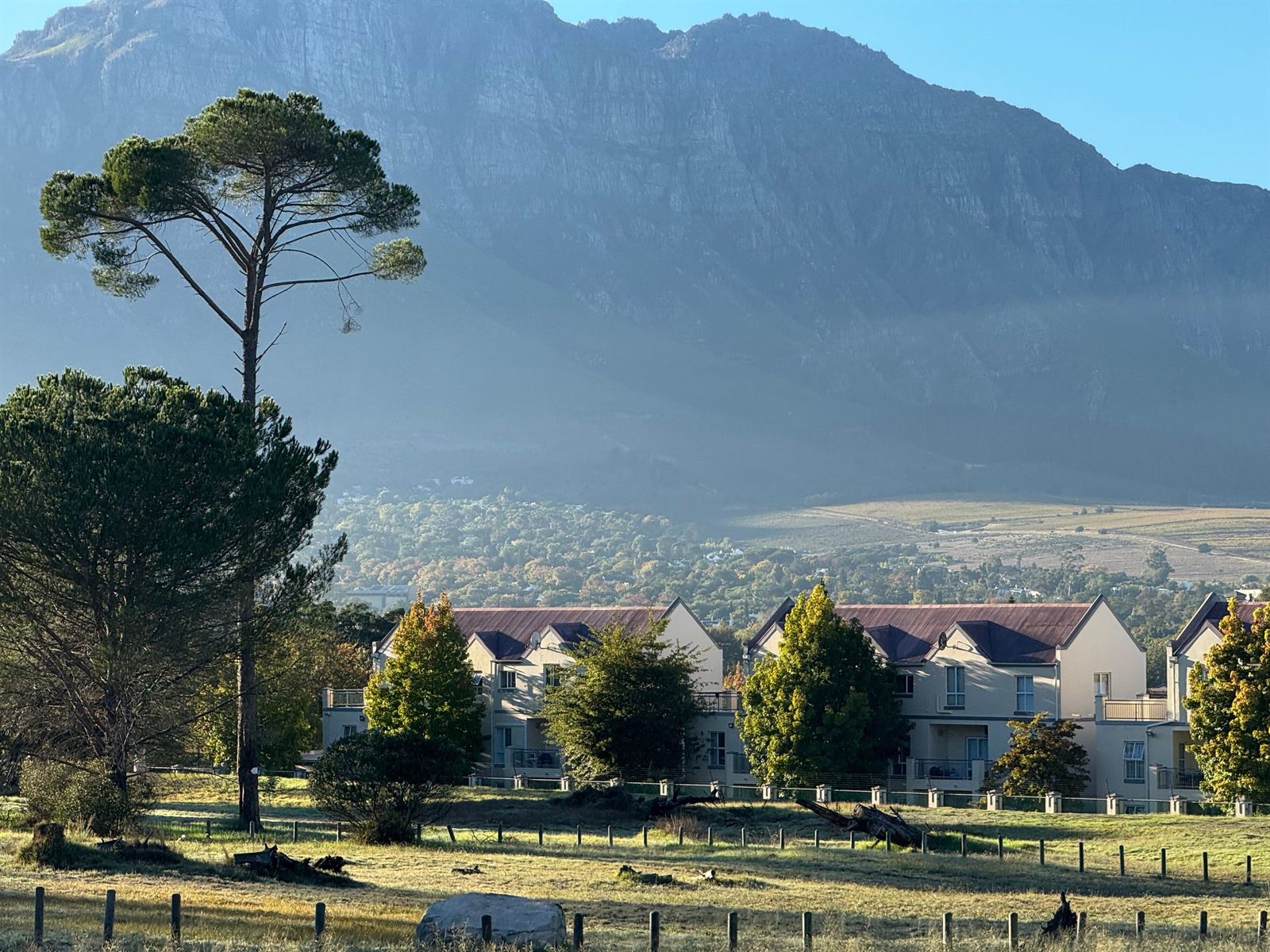 Stellenbosch Mountain above tall pines and a residential estate in the Cape Winelands