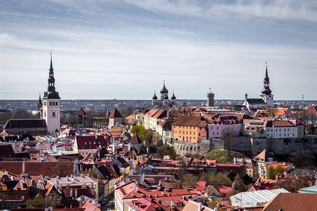 Panorama over Tallinn's medieval Old Town rooftops with church spires and Toompea domes