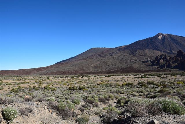 Mount Teide volcano rising over arid scrubland in Tenerife under a clear blue sky