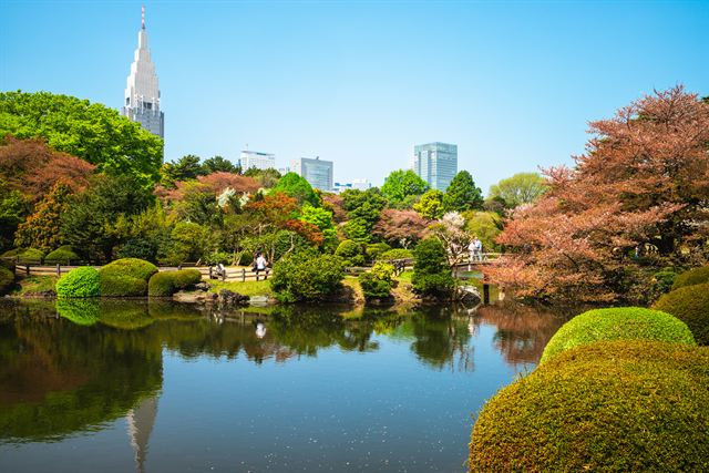 Garden pond and trees in Shinjuku Gyoen with a skyscraper rising beyond