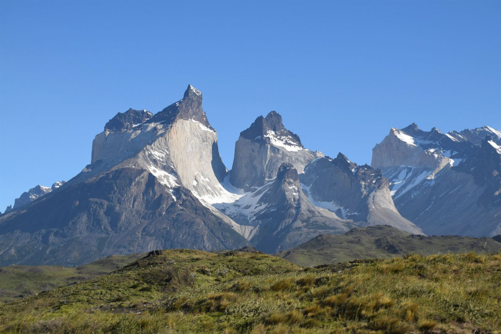 The granite Cuernos del Paine peaks rising above green steppe under clear blue sky in Torres del Paine