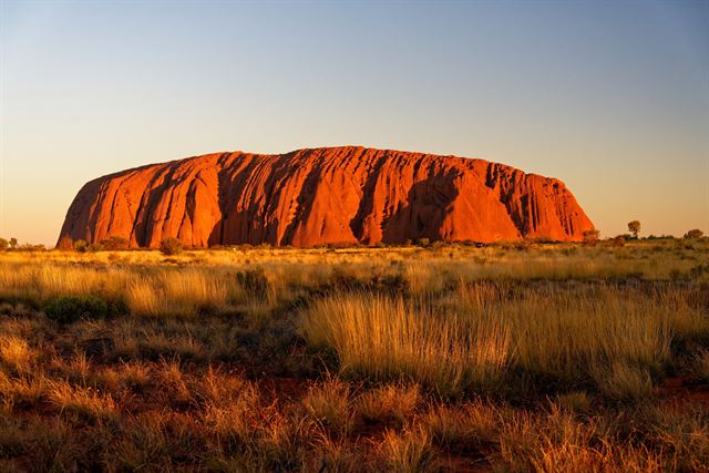 Uluru glowing deep orange in low sunlight above golden grassland at dusk