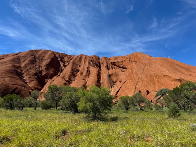 Close view of Uluru's sculpted red rock face above green desert trees and grass