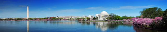 Panorama of the Tidal Basin with the Washington Monument, the Jefferson Memorial and cherry blossoms