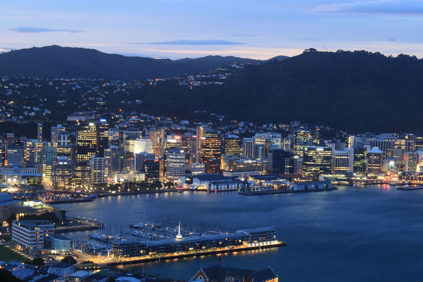 Wellington city lights and harbor waterfront at dusk seen from Mount Victoria