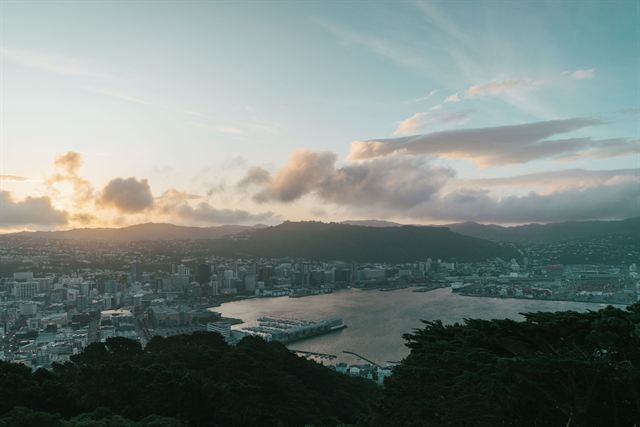 Wellington Harbour and city at sunset seen from the hills above