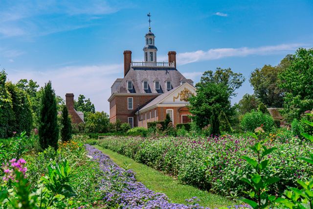 Governor's Palace in Colonial Williamsburg viewed across its formal flower gardens under blue sky