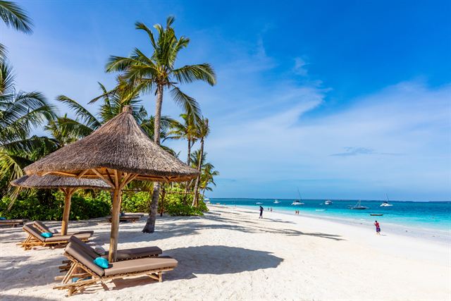 Thatched beach umbrella, sun loungers and palms on white-sand Kendwa Beach, Zanzibar