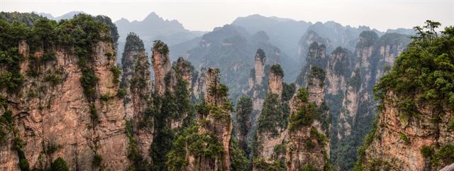 Panorama of Zhangjiajie's quartzite columns and cliffs in Wulingyuan