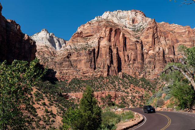 Scenic drive curving beneath massive red and white sandstone cliffs in Zion National Park
